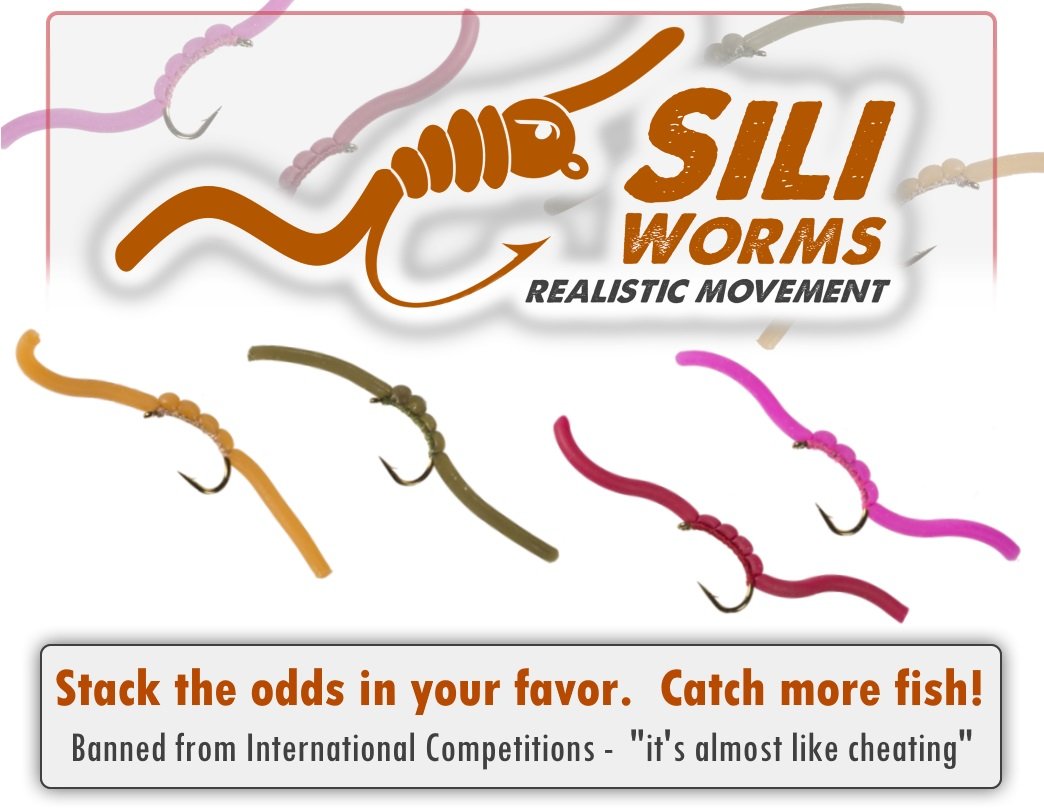 Sili Worm Assortment