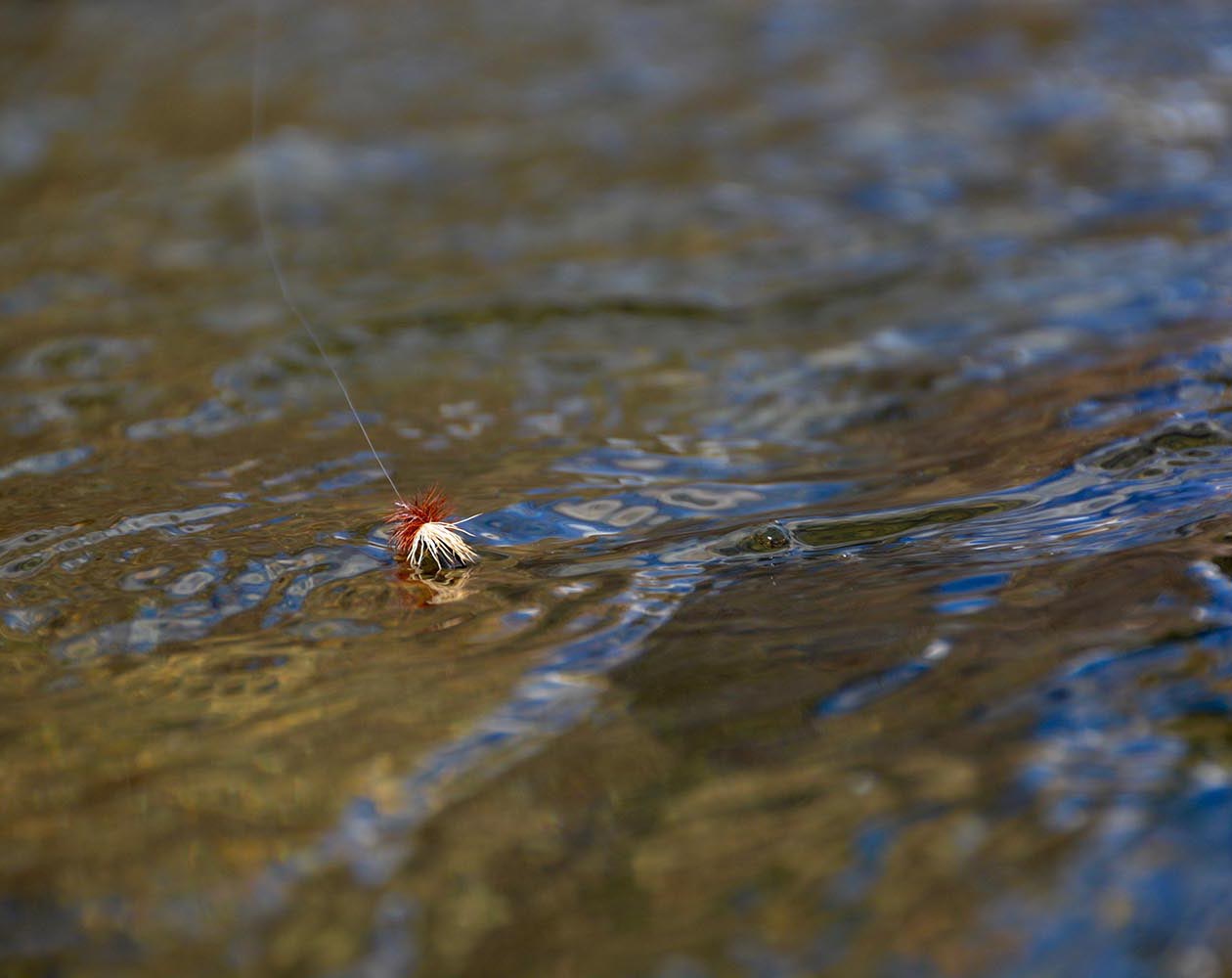 Dry Fly Assortment